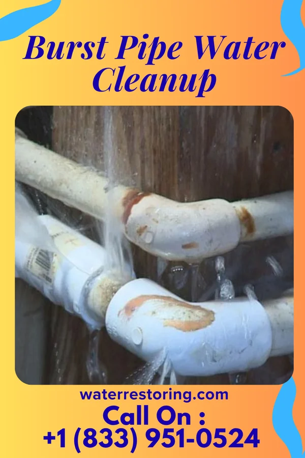 Burst Pipe Water Cleanup in South Connellsville, PA