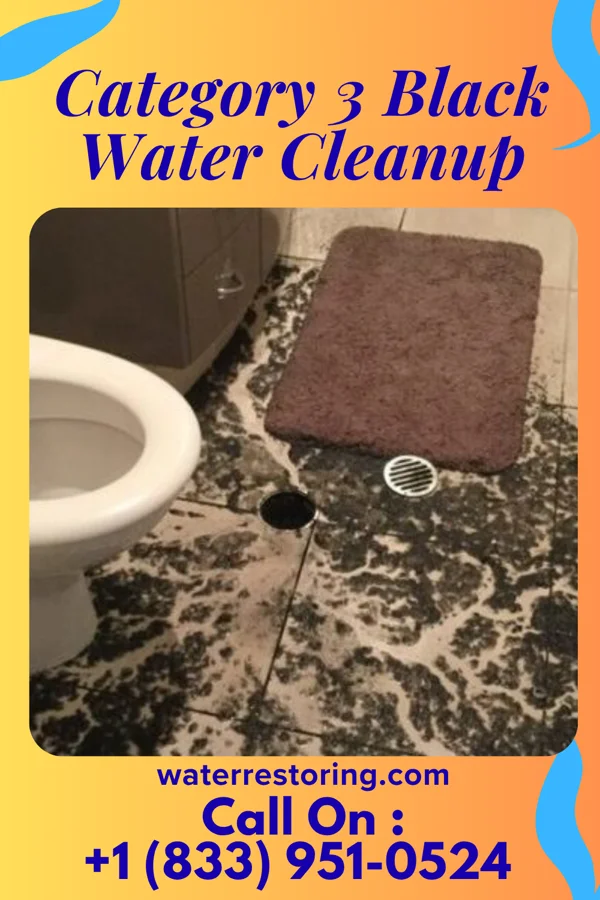 Category 3 Black Water Cleanup in South Connellsville, PA