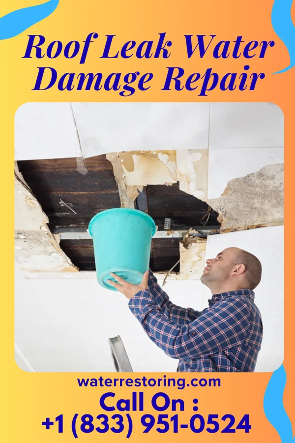 Roof Leak Water Damage Repair in South Connellsville, PA